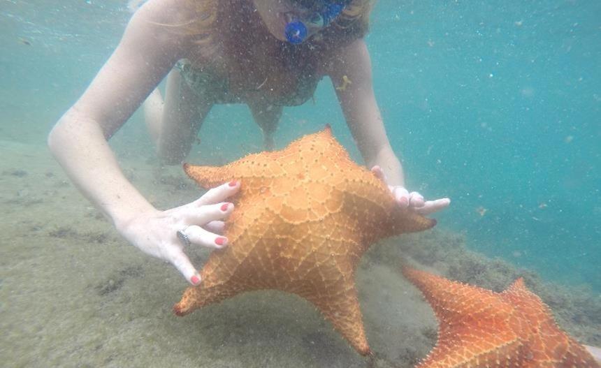 Kitnet Aconchegante A 200M Da Praia Διαμέρισμα Άνγκρα Ντος Ρέις Εξωτερικό φωτογραφία